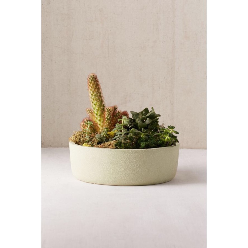 Urban Outfitters Succulent Planter